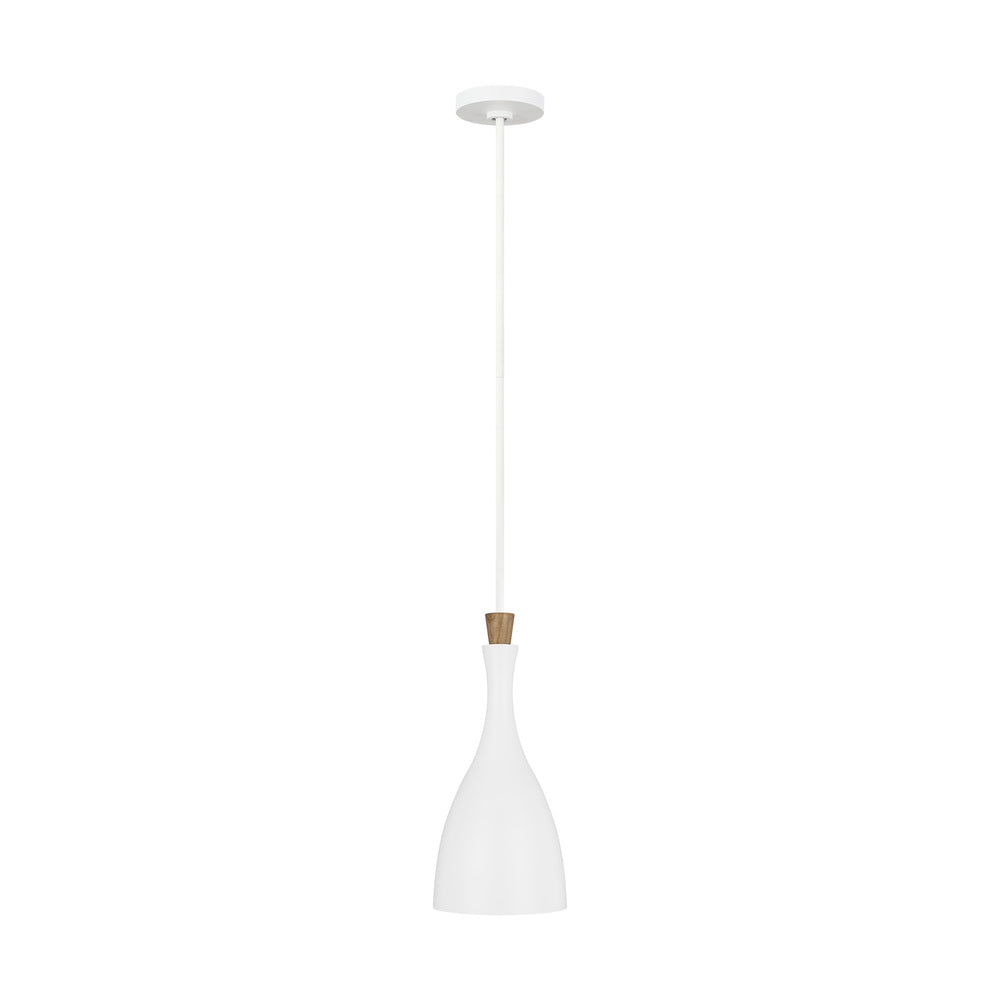 Darwin Small Pendant